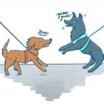 CLASE DE SOCIALIZACIÓN